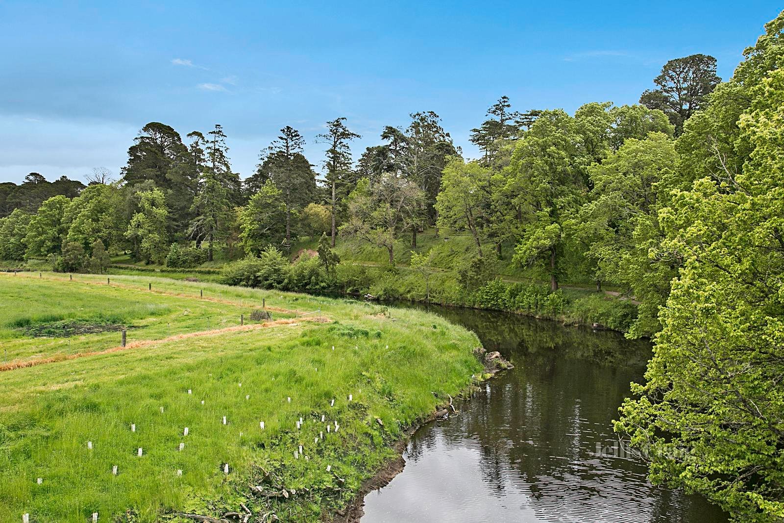 13 Mill Street, Kyneton image 7