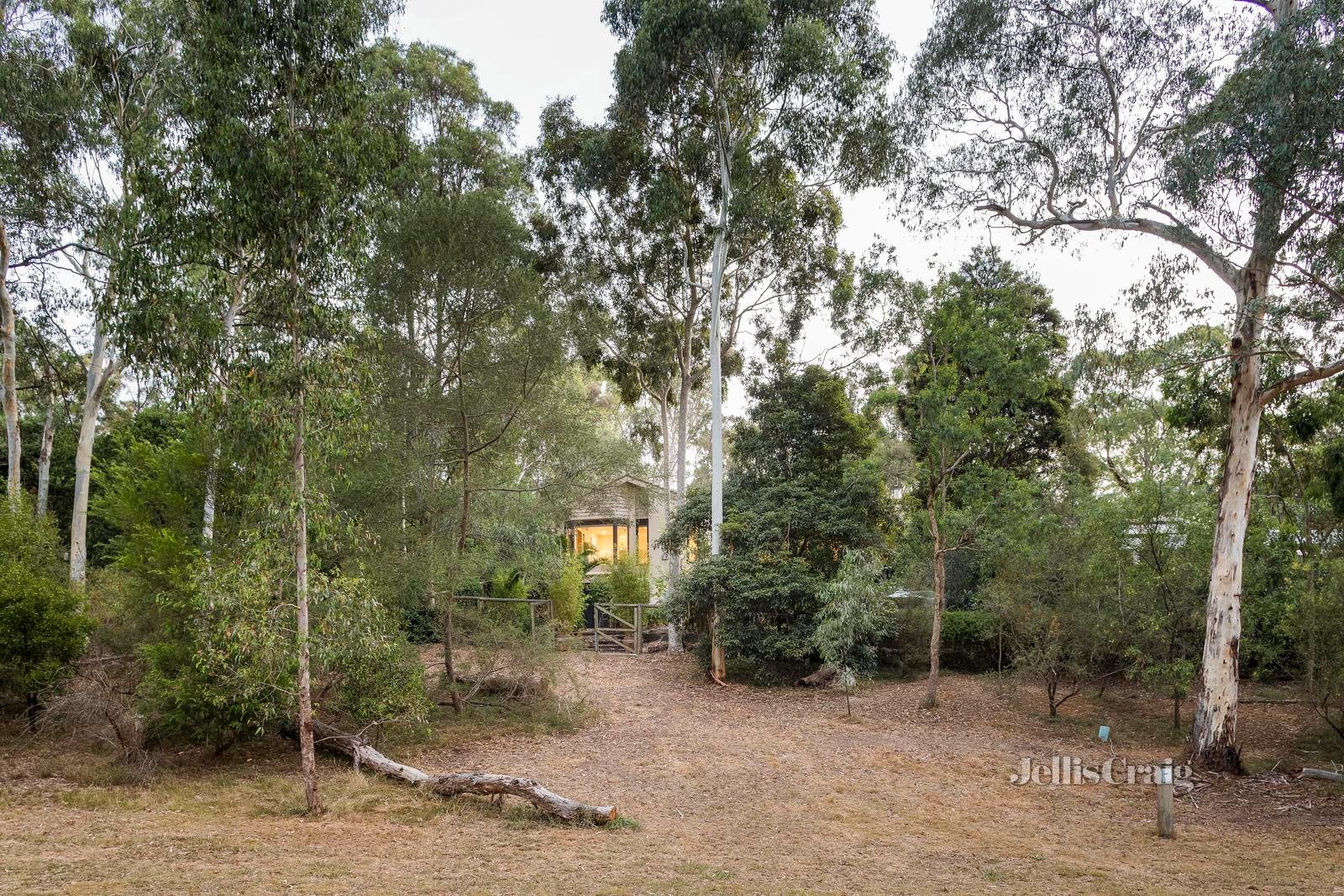 13 Monclaire Court, Eltham image 19