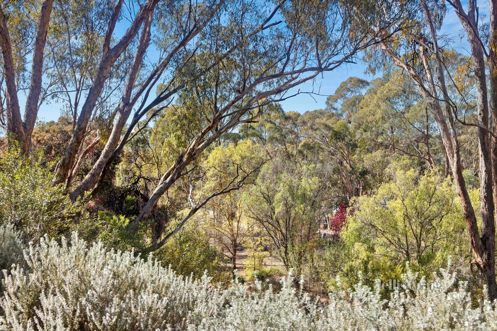 13 Monks Hill Road, Chewton image 18