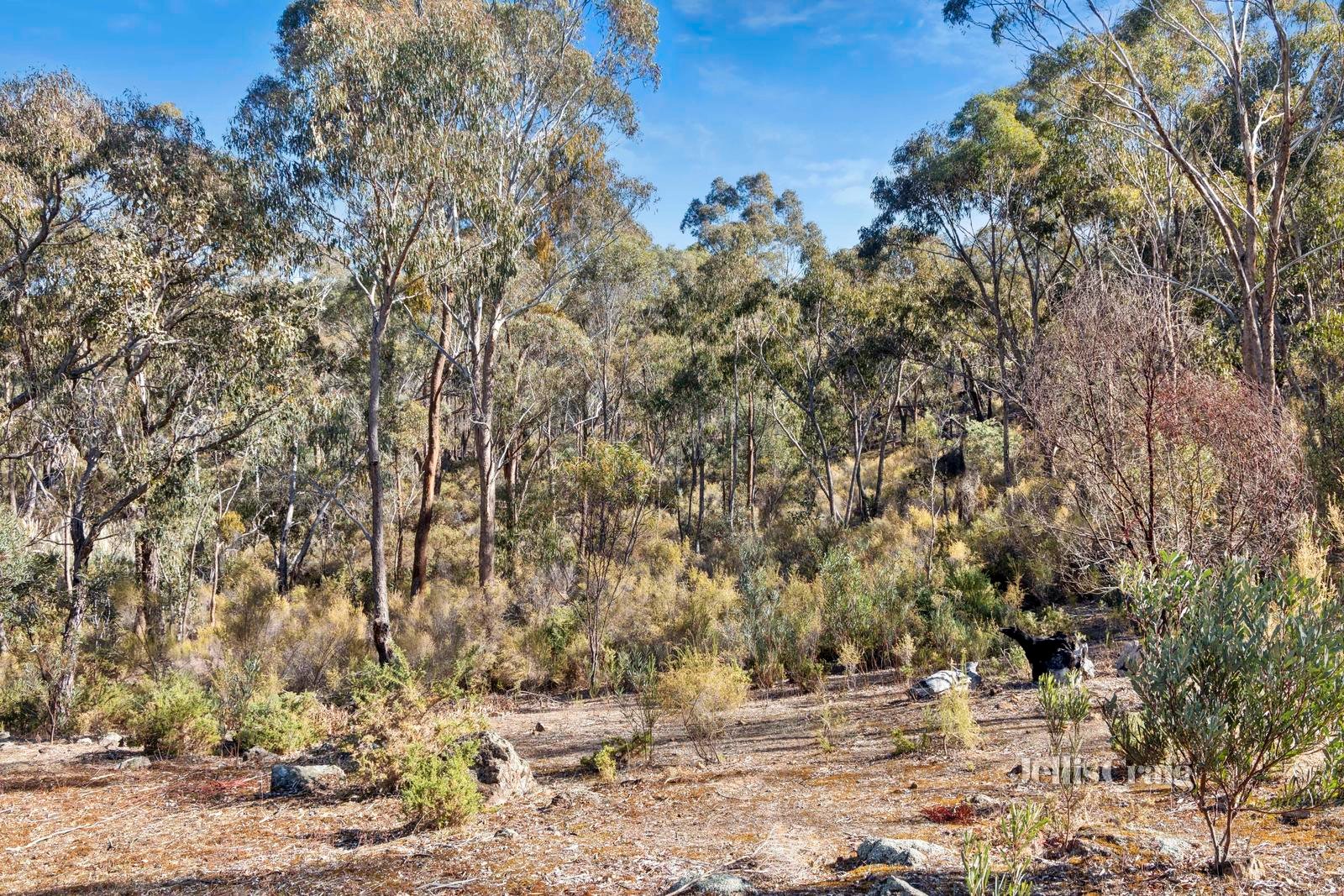 13 Monks Hill Road, Chewton image 19