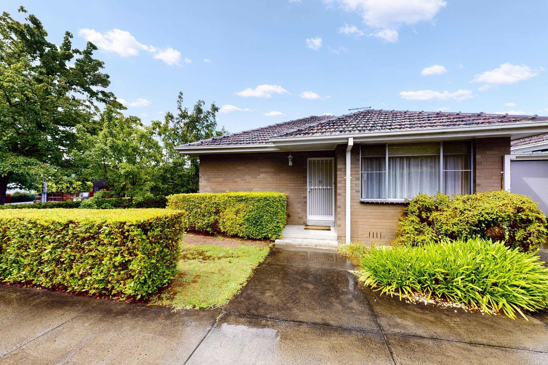 1/3 Mountain Grove, Kew image 1