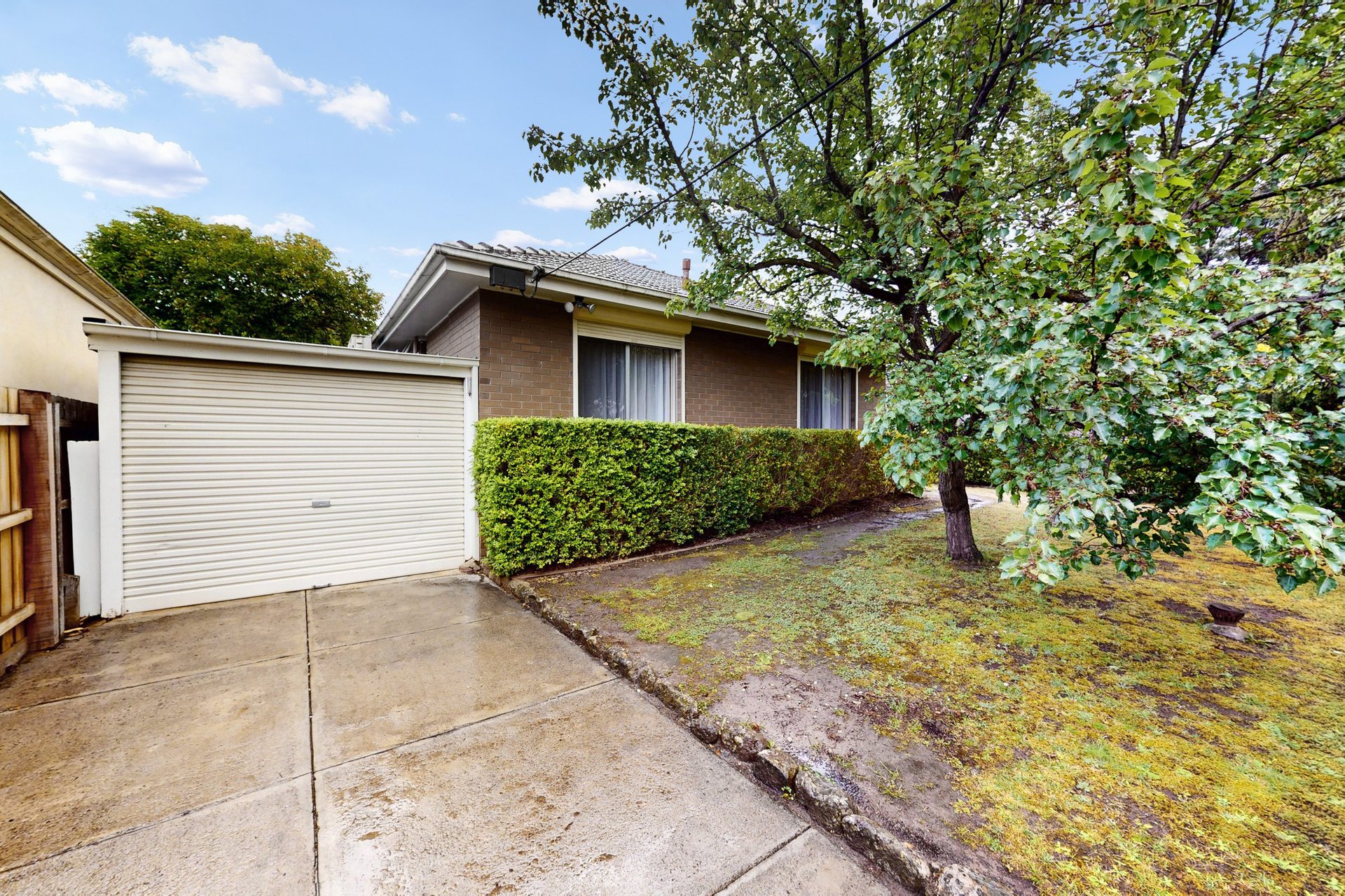 1/3 Mountain Grove, Kew image 9
