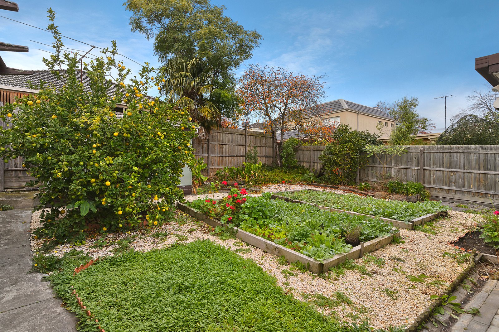 13 Para Street, Balwyn image 7