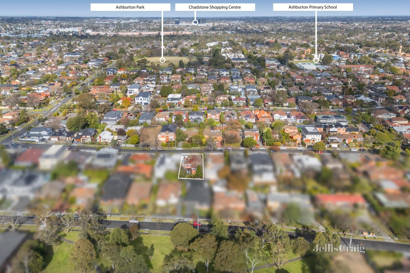 13 Pascoe Street, Glen Iris image 11