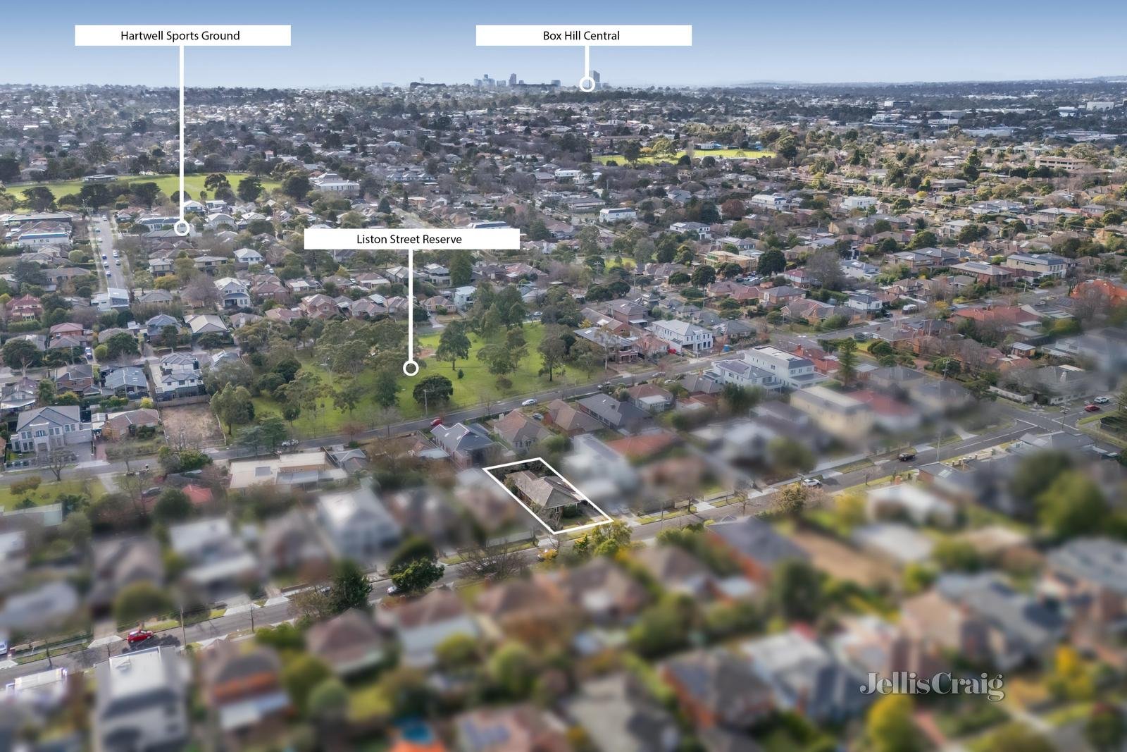 13 Pascoe Street, Glen Iris image 12