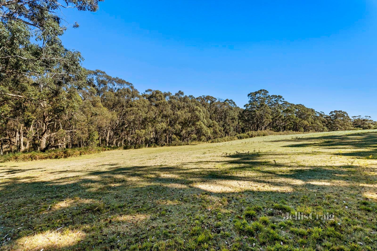 13 Pfeiffers Track, Daylesford image 2