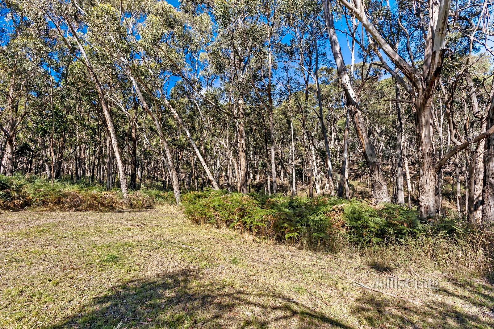 13 Pfeiffers Track, Daylesford image 4