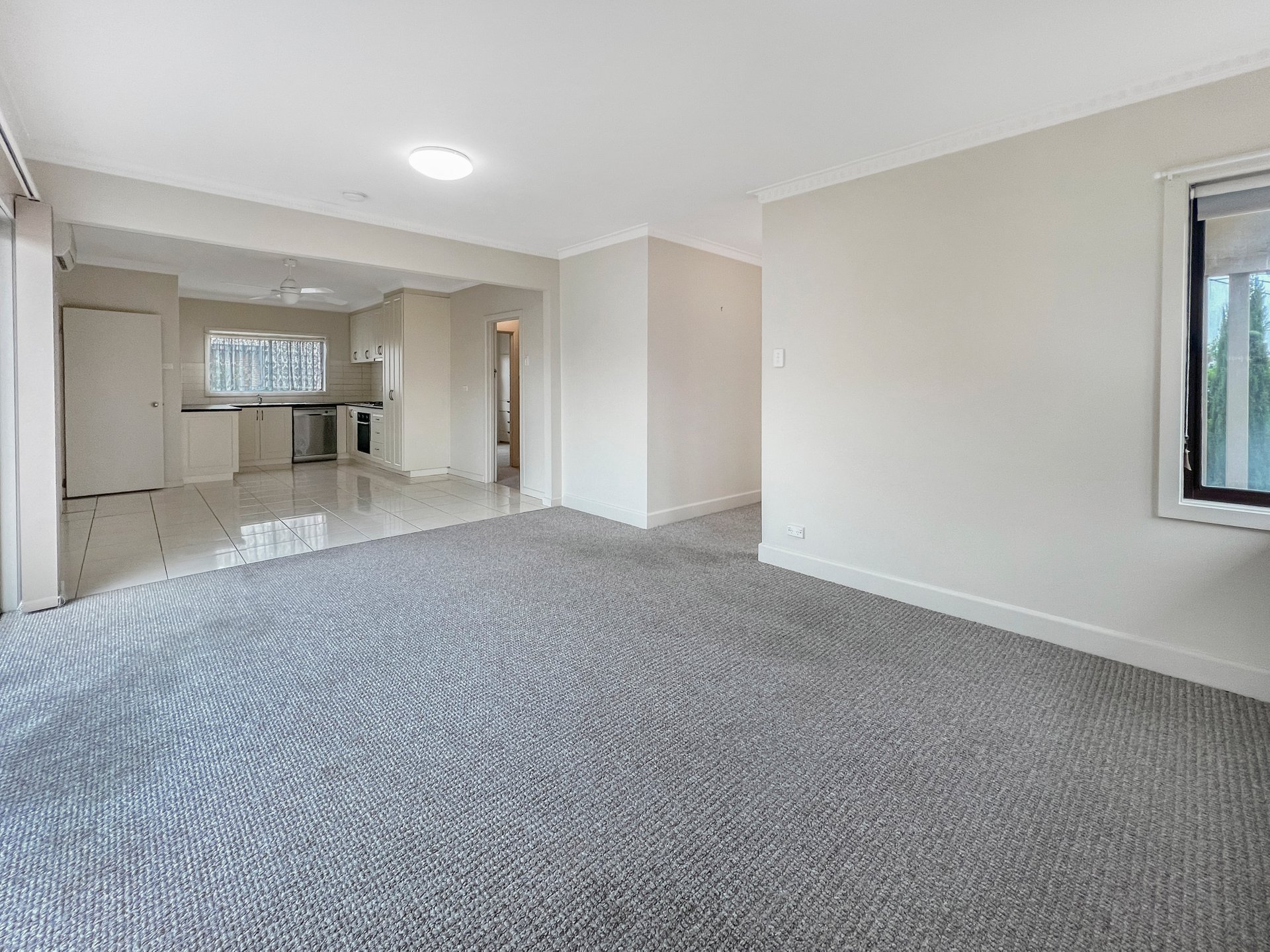 1/3 Pitman Street, Newcomb image 9