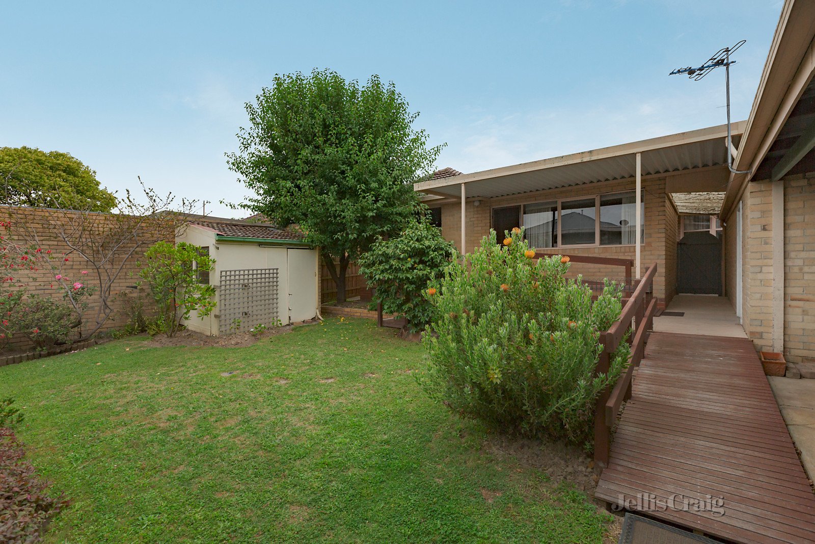 13 Ranfurlie Road, Forest Hill image 5