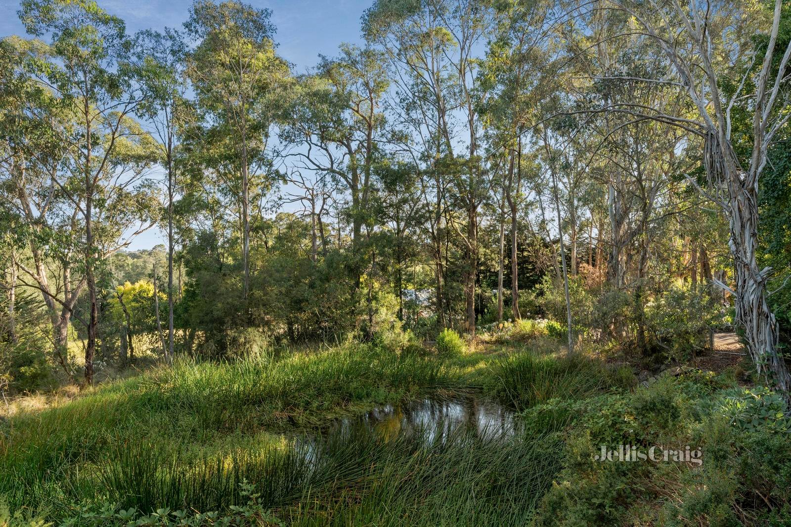 13 Rodger Road, Wandin North image 29