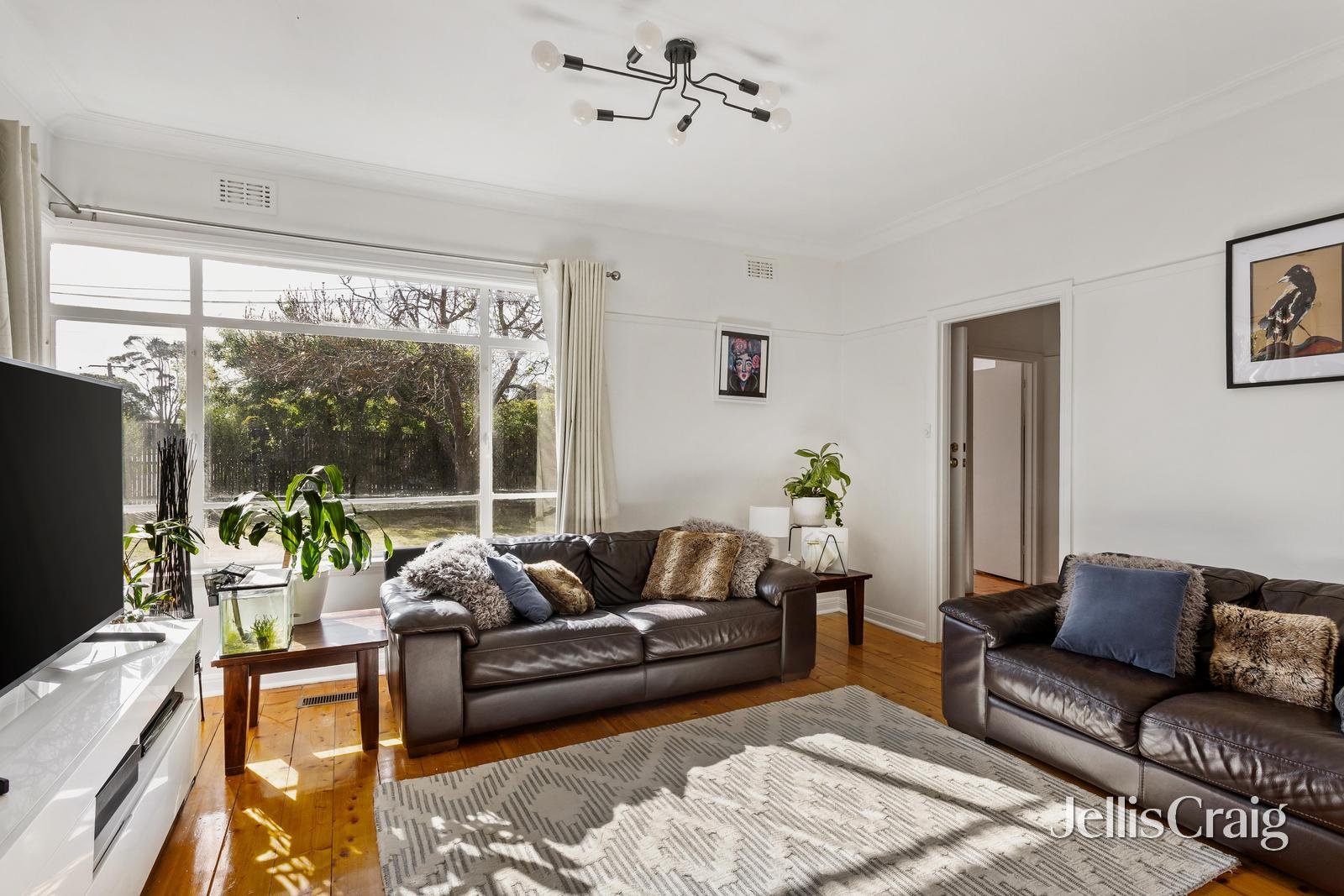 13 Roma Street, Bentleigh image 5