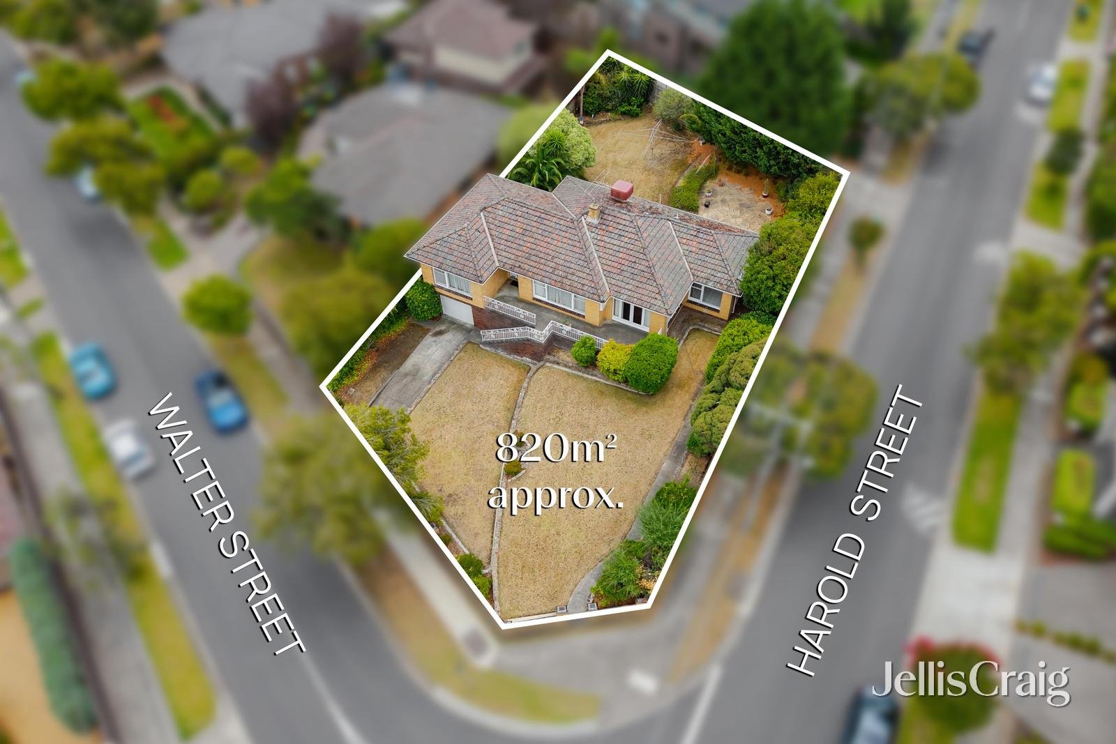 13 Walter Street, Bulleen image 12