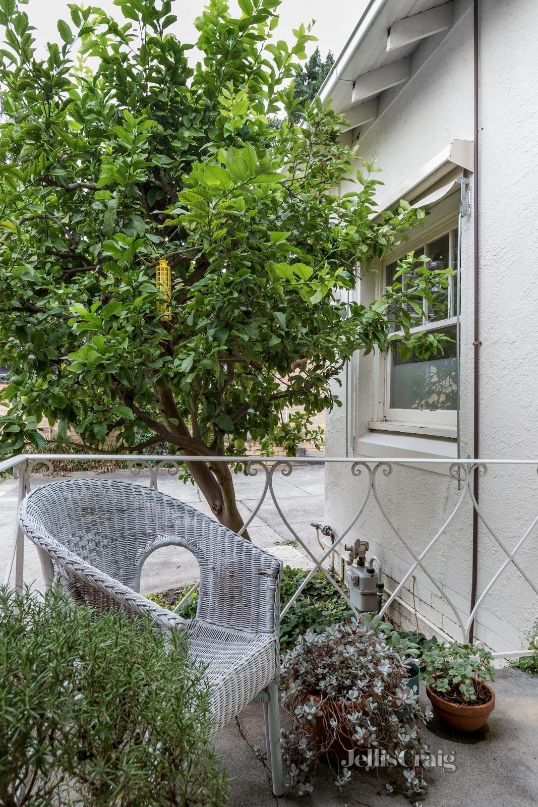 1/3 Wanawong Crescent, Camberwell image 6