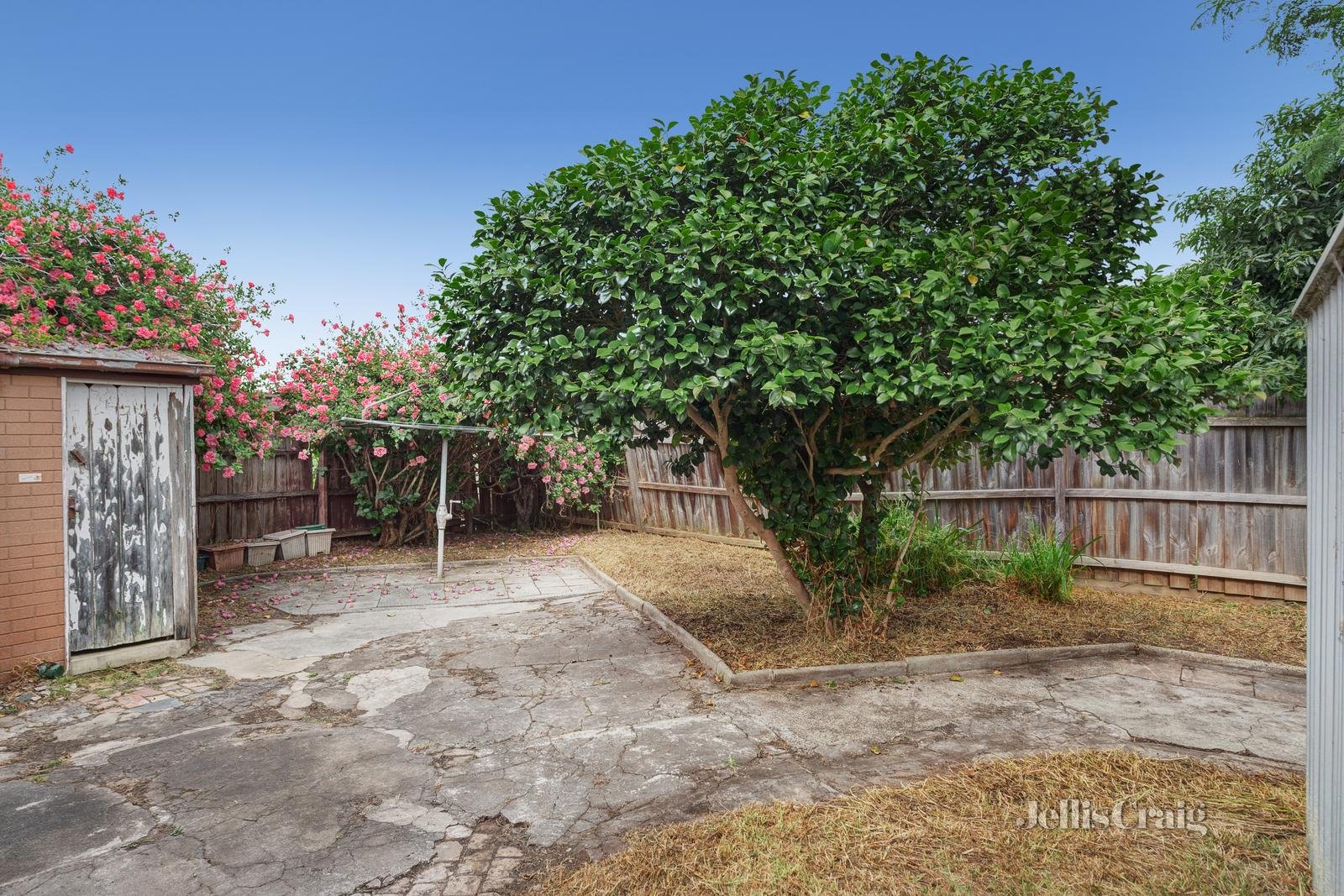 13 Webb Street, Coburg image 5