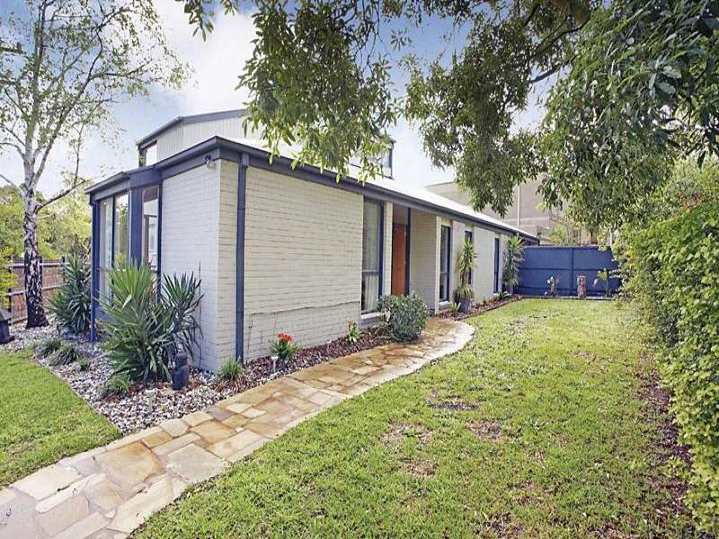 13 Windsor Crescent, Surrey Hills image 6