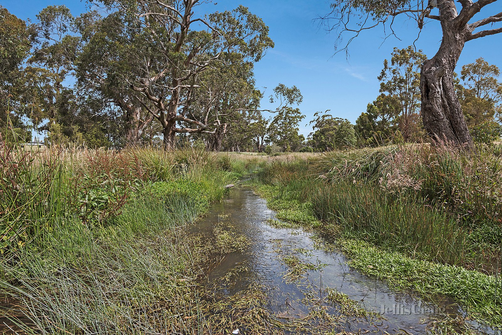 131 Rippers Lane, Trentham&nbsp;East image 18