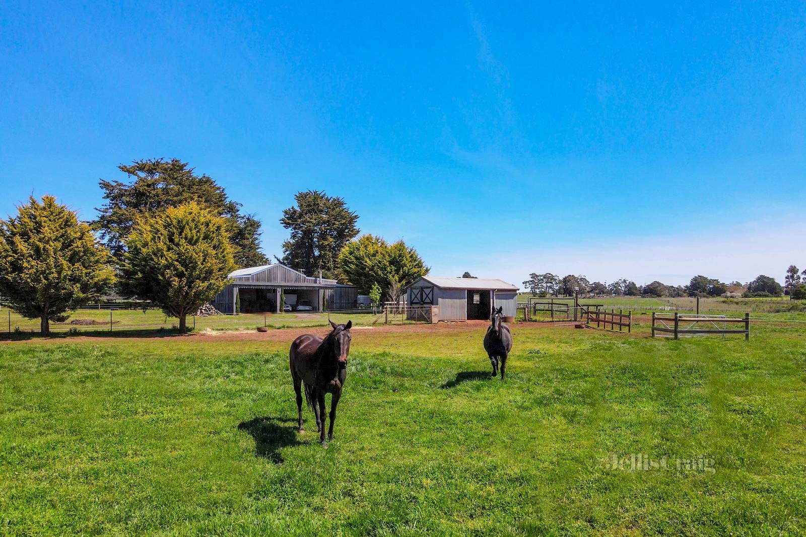 131 Rippers Lane, Trentham East image 12