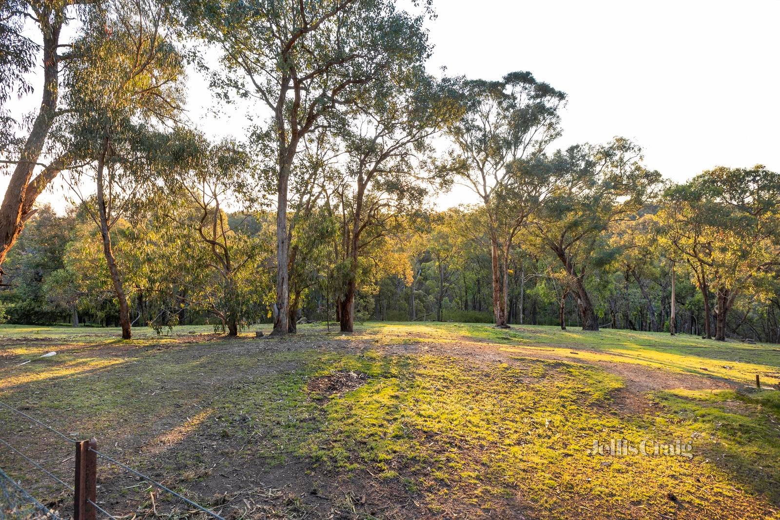 131 School Road, St Andrews image 33