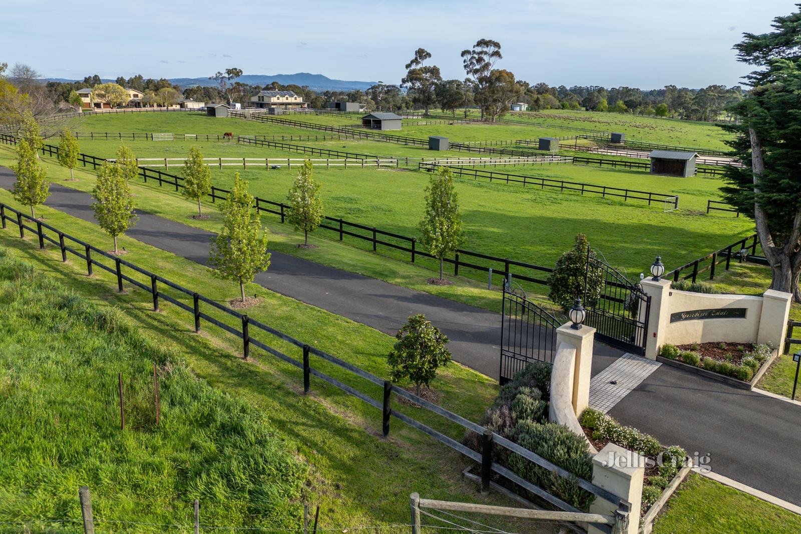 131 Yarraview Road, Yarra Glen image 3