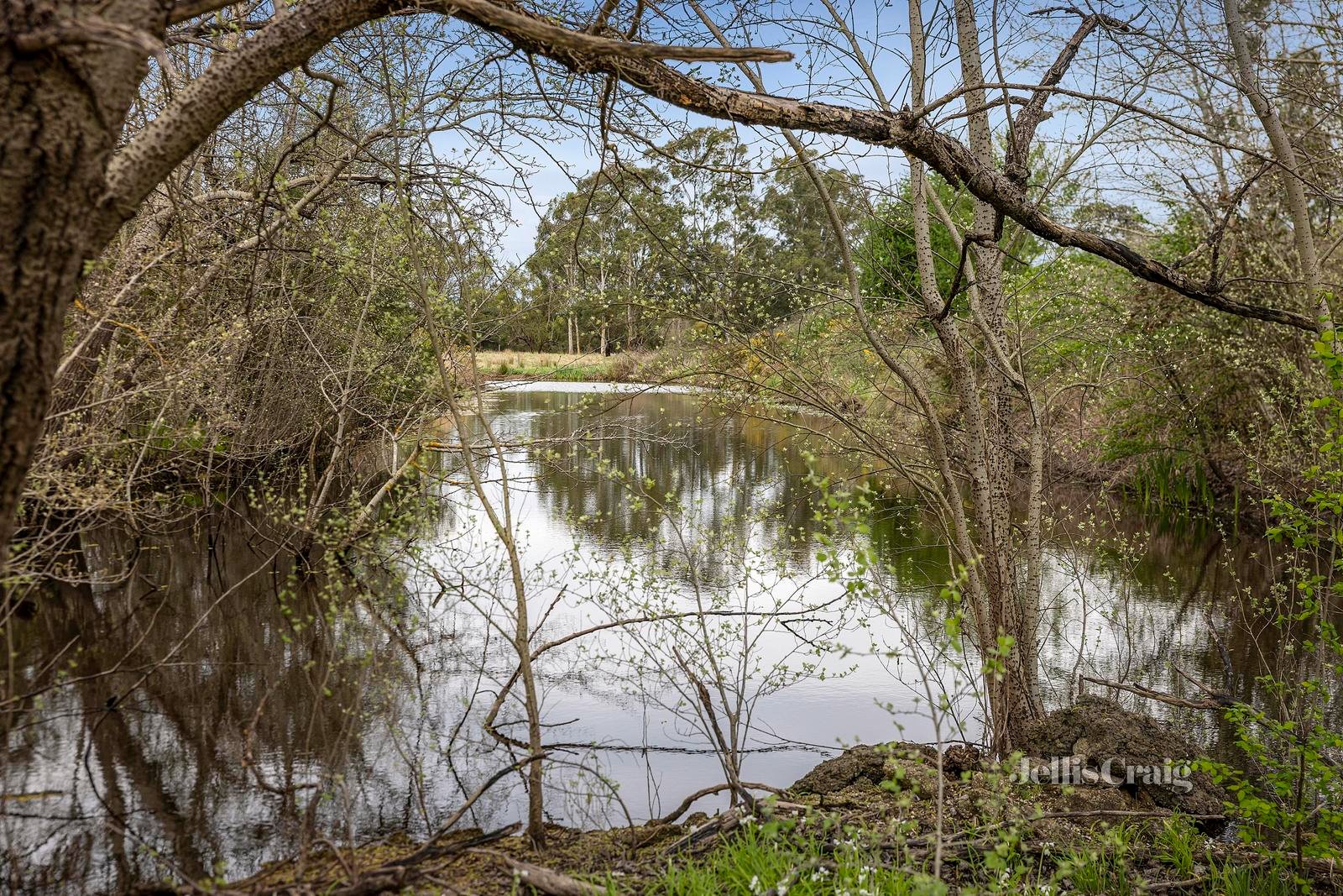 131 Yarraview Road, Yarra Glen image 24