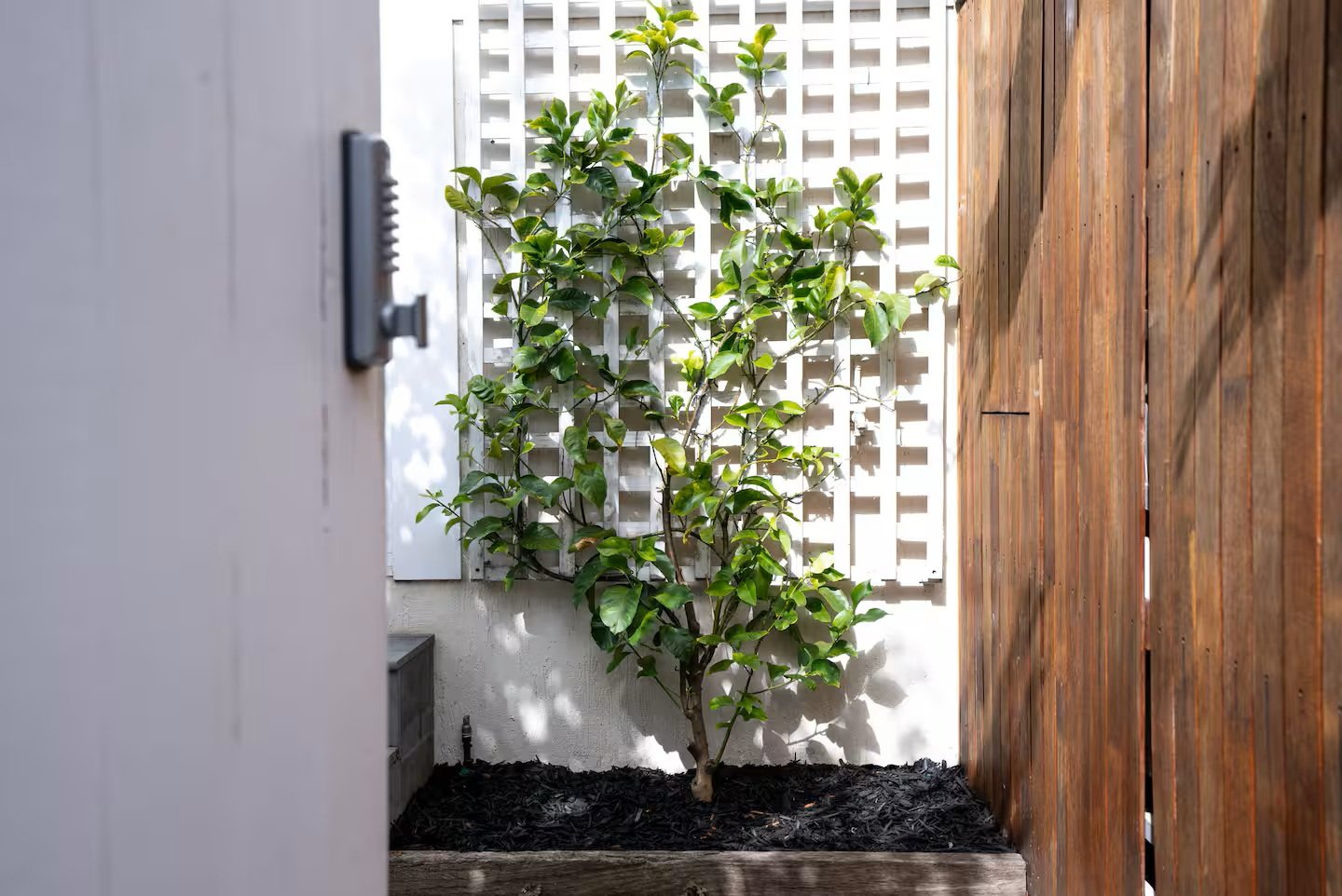 1/31 York Street, Saint&nbsp;Kilda&nbsp;West image 18