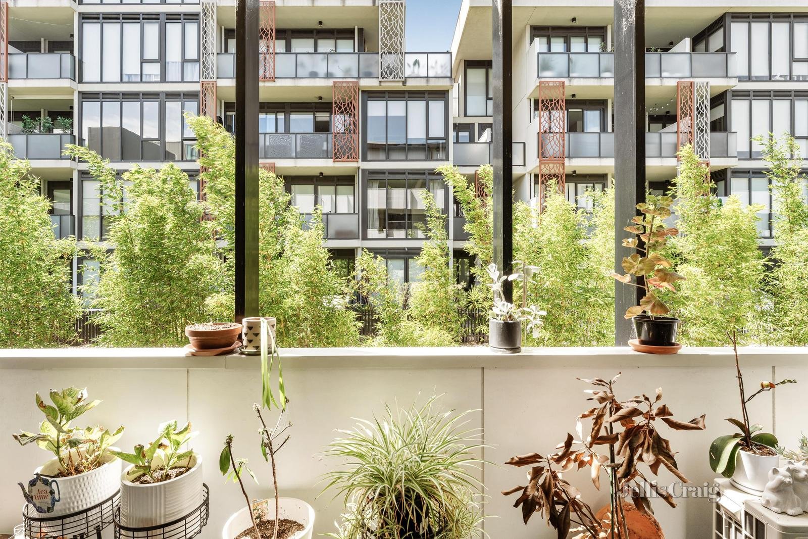 131/218 Bay Road, Sandringham image 10