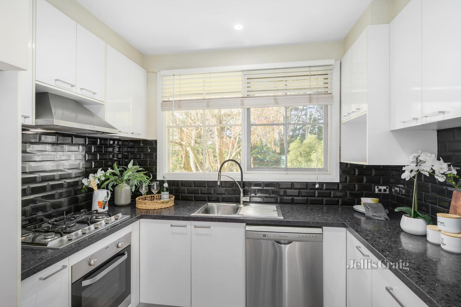 1/319 Elgar Road, Surrey Hills image 4