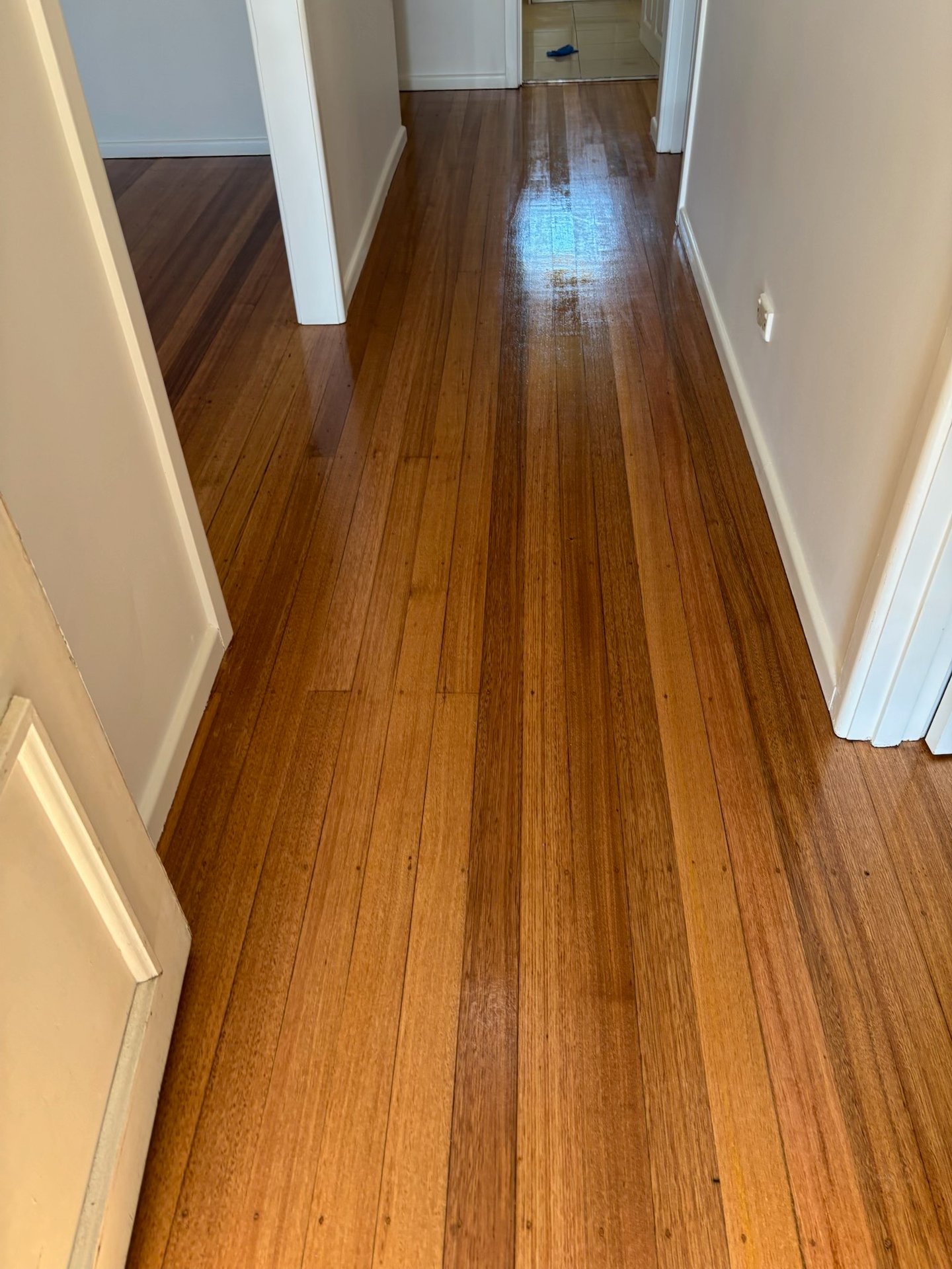 133 Spring Street, Thomastown image 11