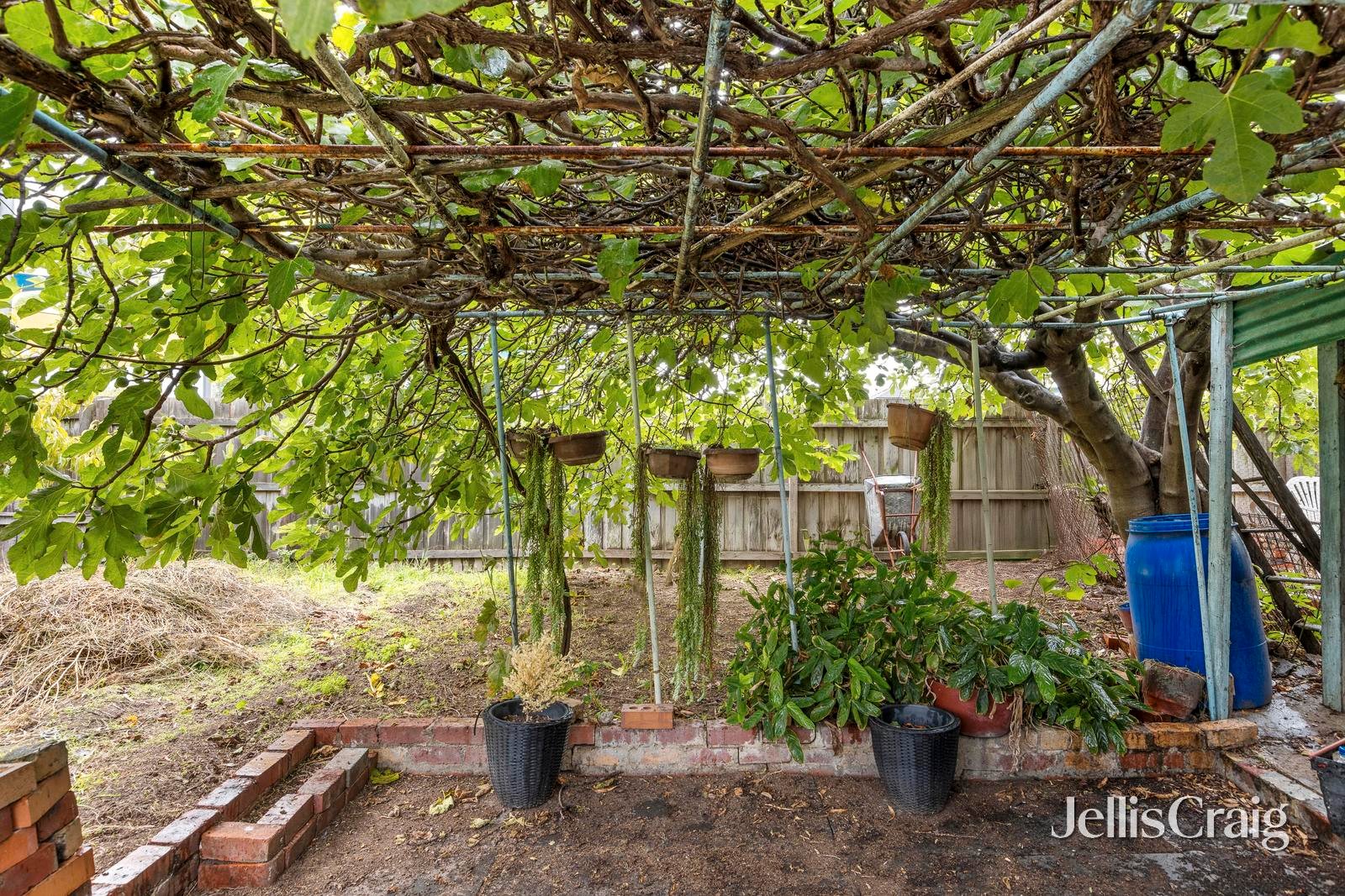 134 Dundas Street, Thornbury image 12