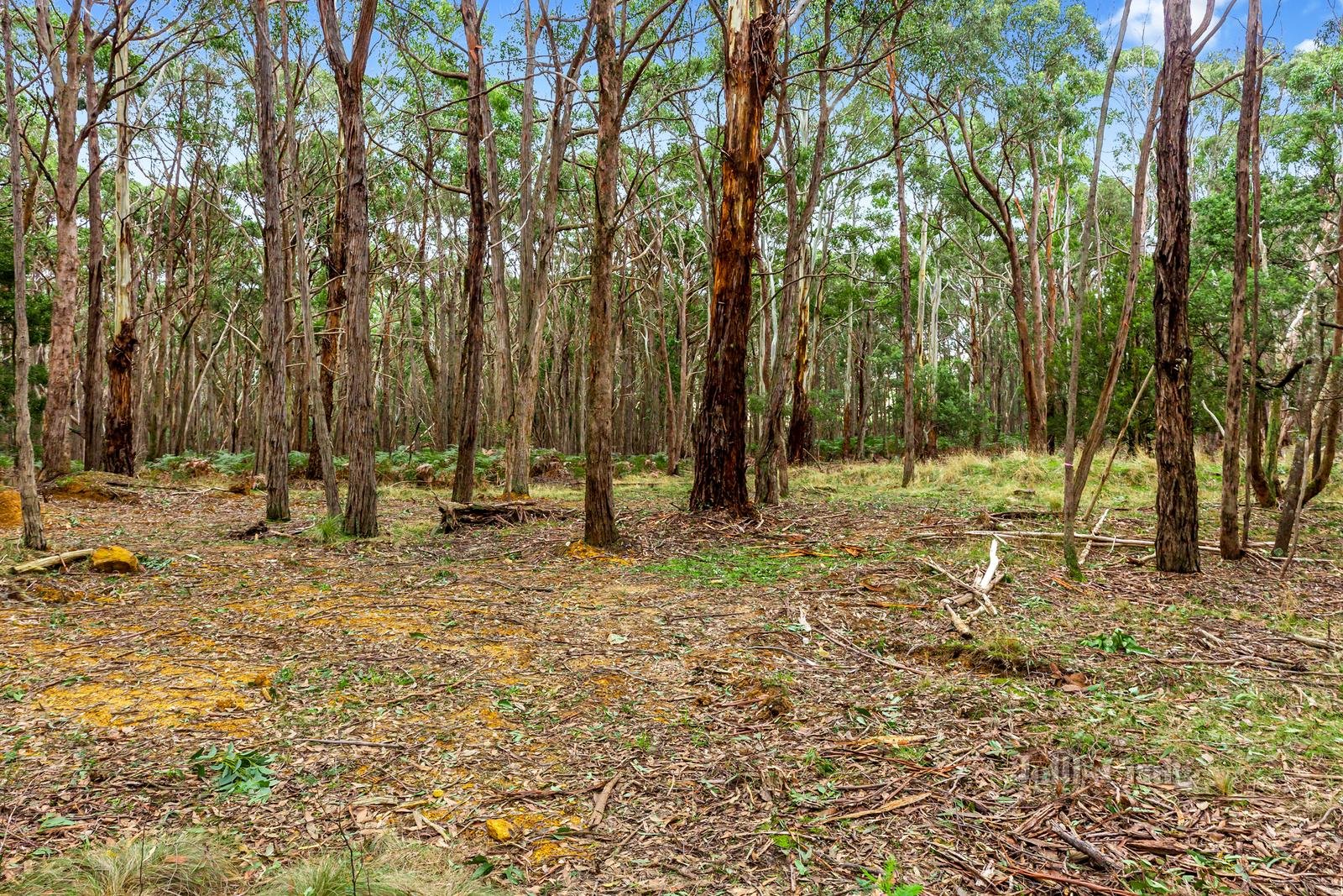 134 Sharpes Lane, Wheatsheaf, VIC 3461 Land for Sale