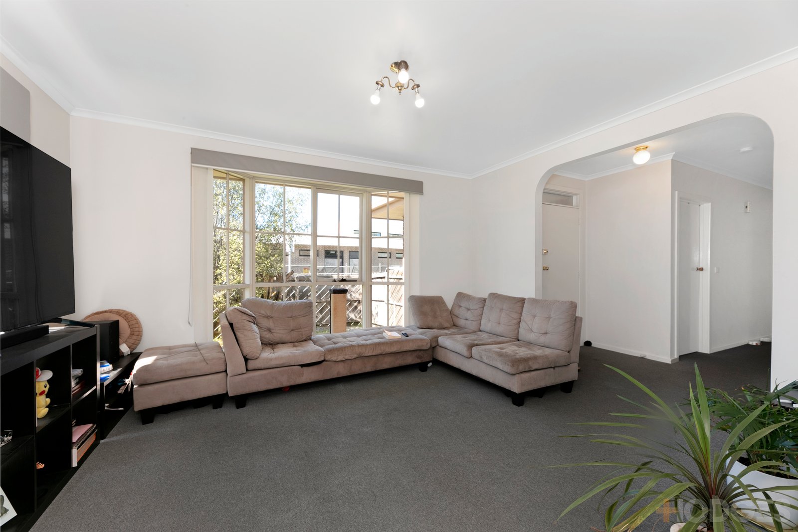 1 / 35 Madden Avenue Carnegie