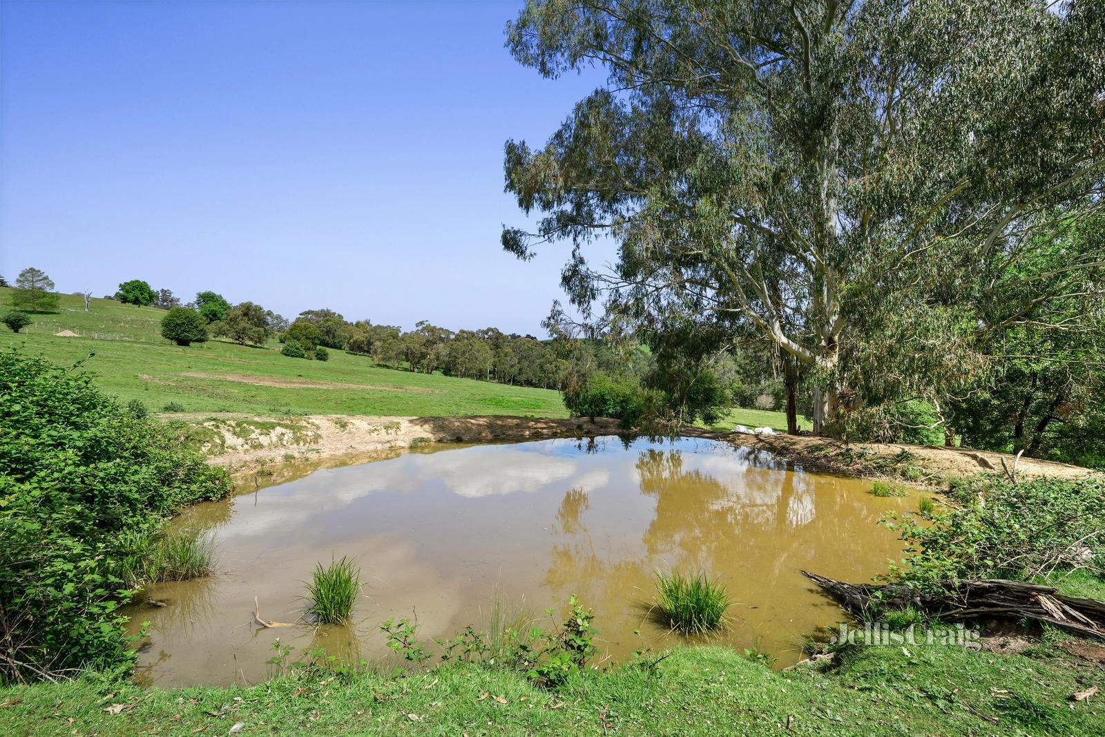 135 Schoolhouse Road, Woori Yallock image 8