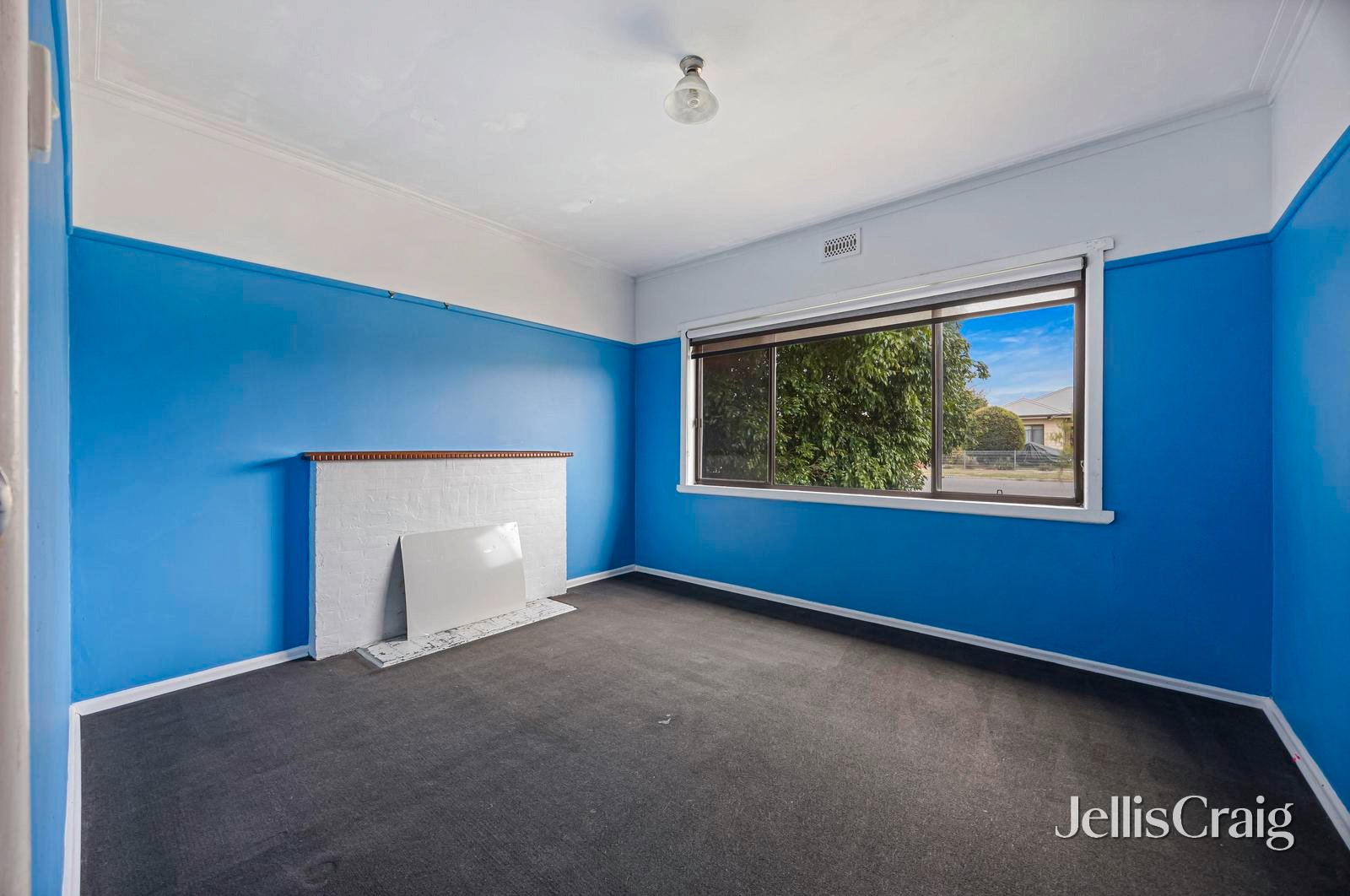 135 Walker Street, Sebastopol image 8
