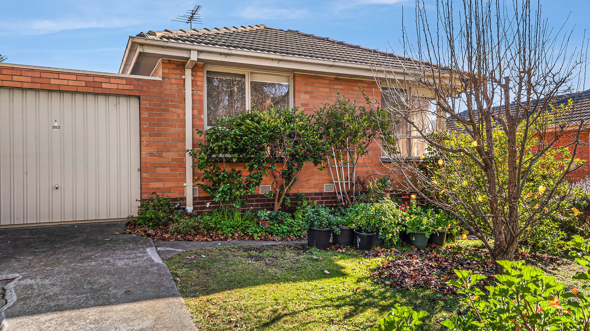 1/353 Elgar Road, Surrey Hills image 1