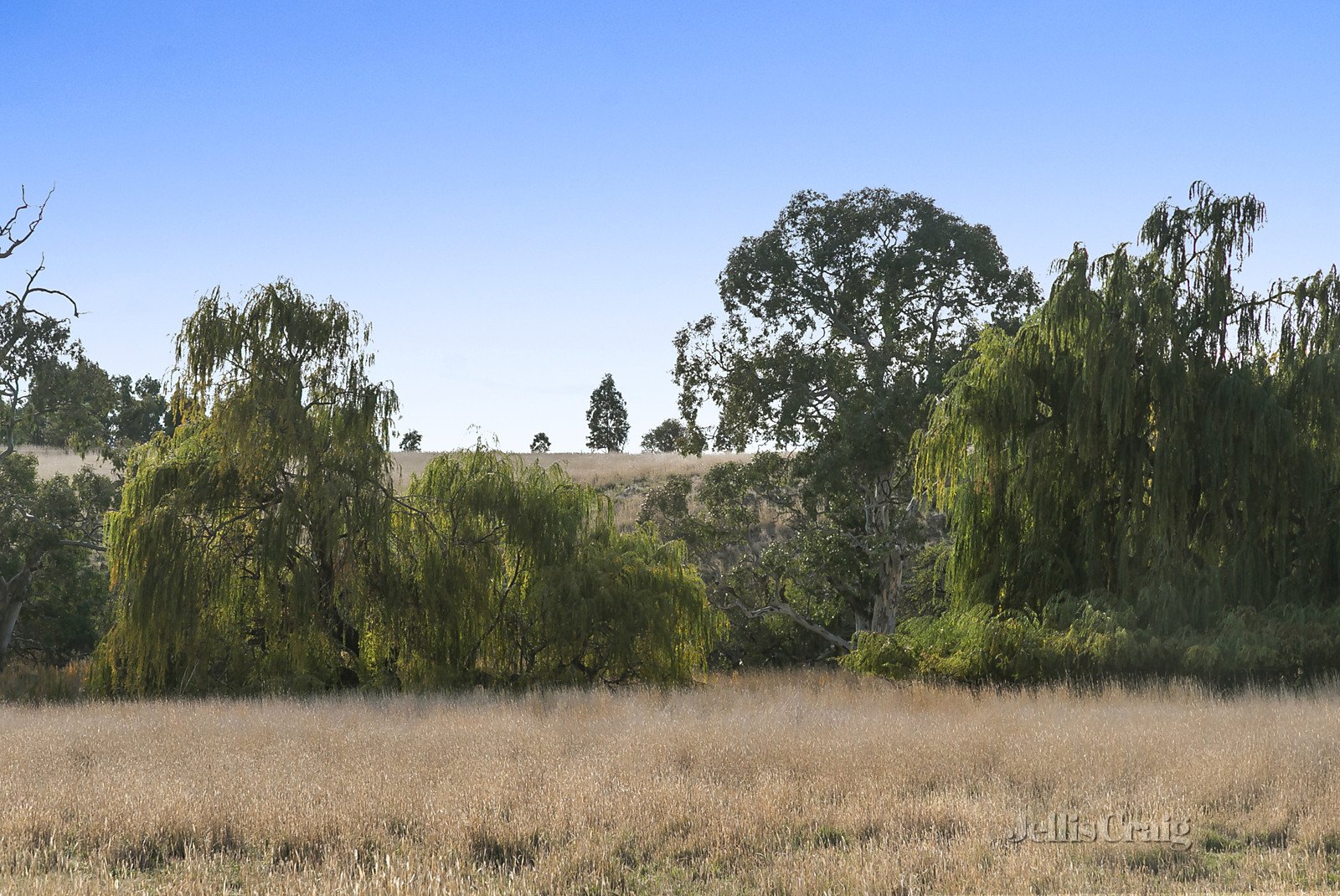 136 Mount Lofty Road, Redesdale image 1