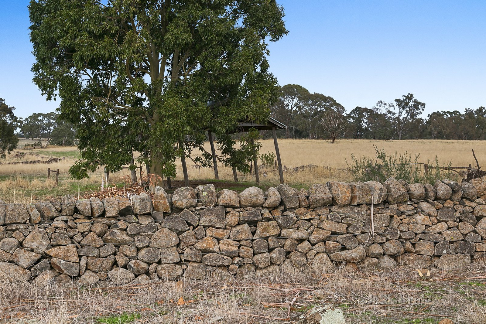 136 Mount Lofty Road, Redesdale image 6