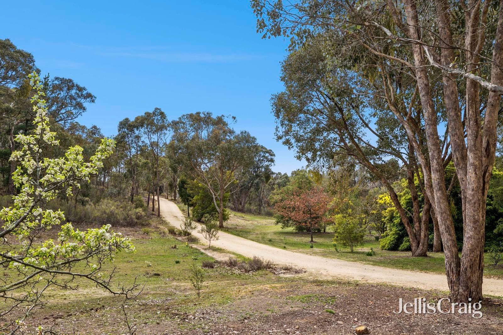 136 Sarah Court, Elphinstone image 16
