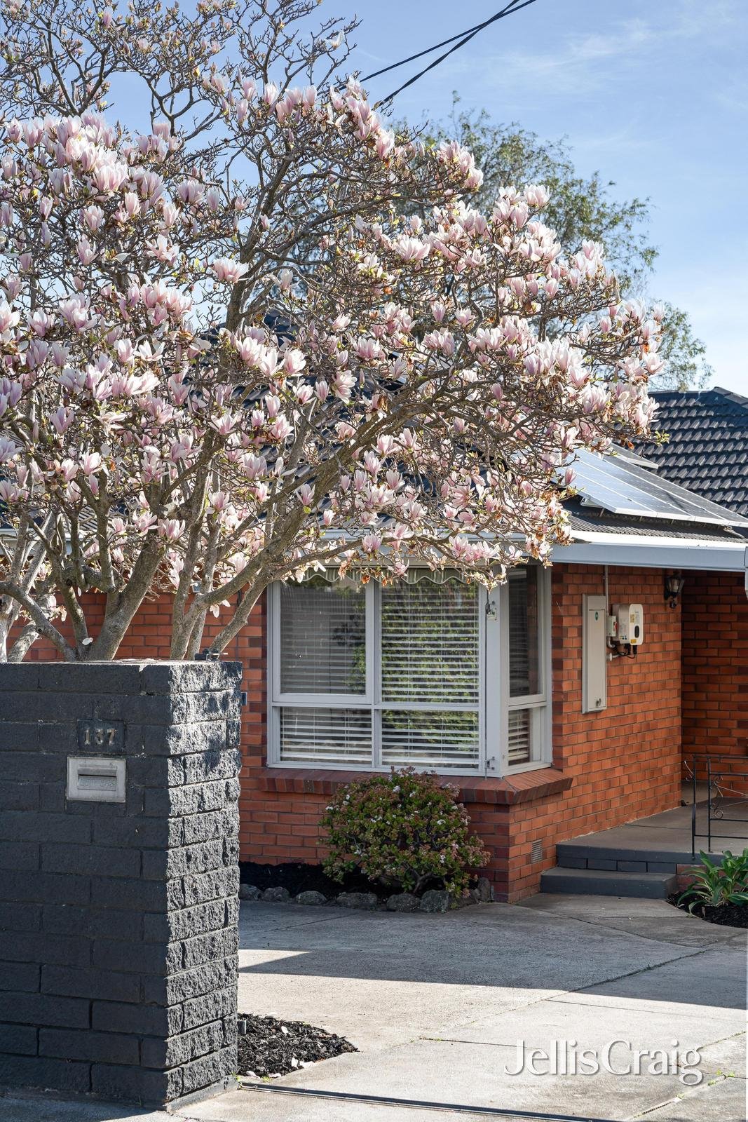 137 Cavanagh Street, Cheltenham image 12
