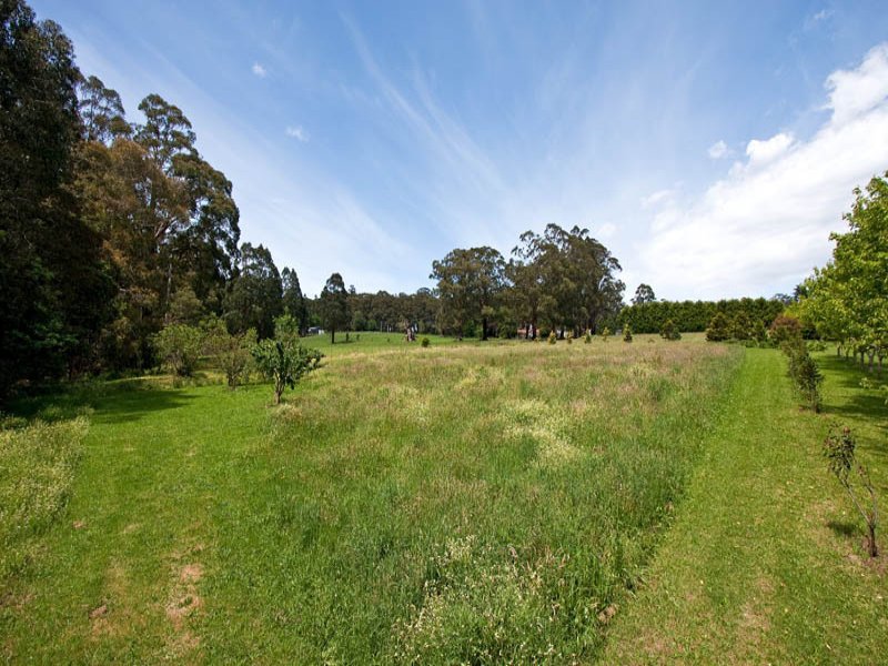 1370 Myers Creek Road, Toolangi image 12