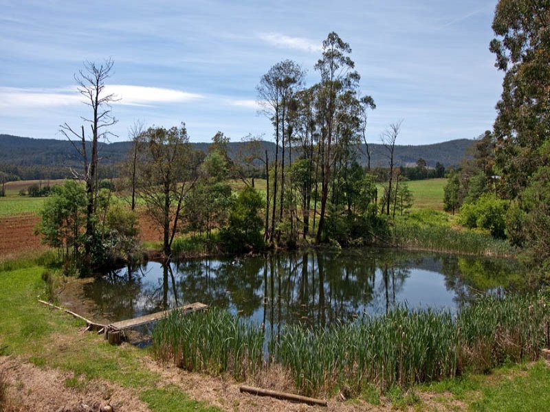 1370 Myers Creek Road, Toolangi image 13