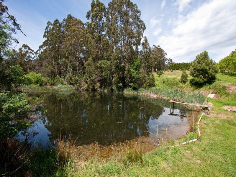 1370 Myers Creek Road, Toolangi image 14