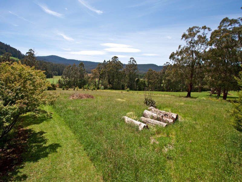 1370 Myers Creek Road, Toolangi image 15