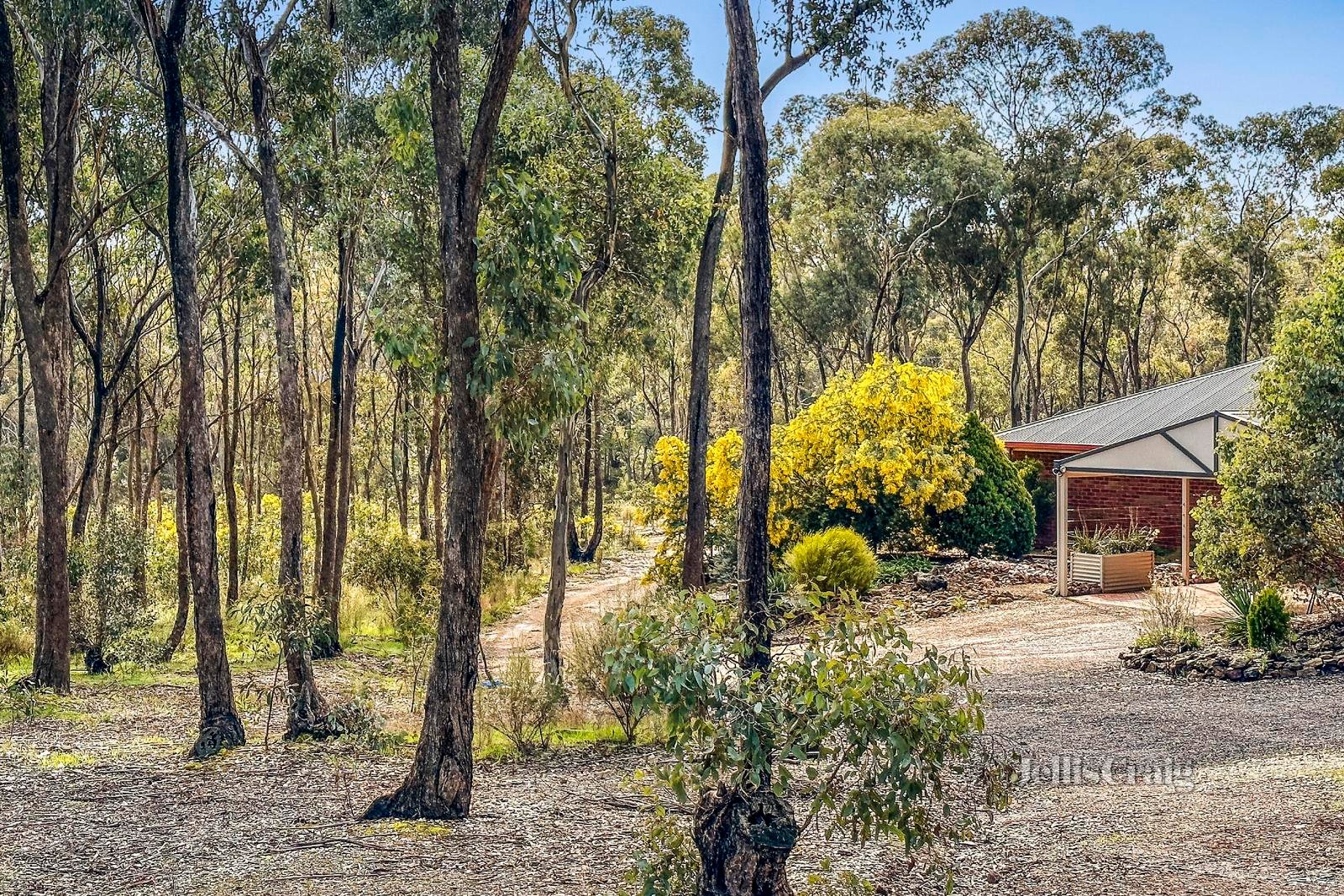 138 Ranters Gully Road, Muckleford image 17
