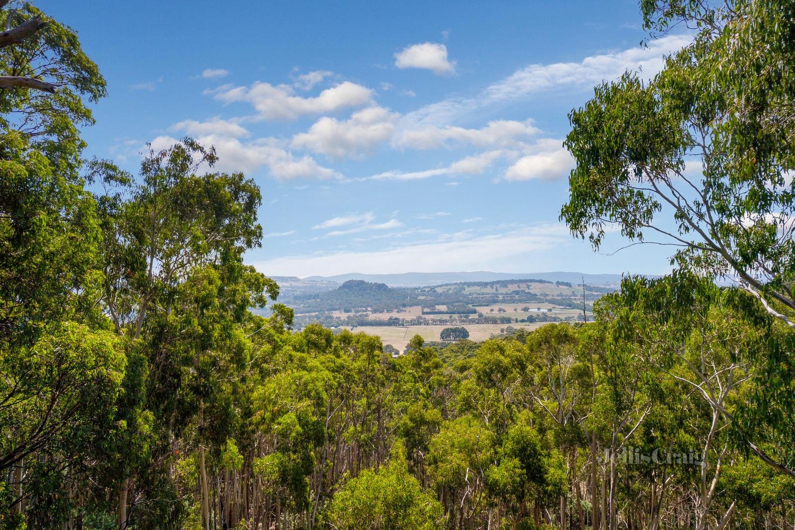 1383 Mount Macedon Road, Mount&nbsp;Macedon image 20