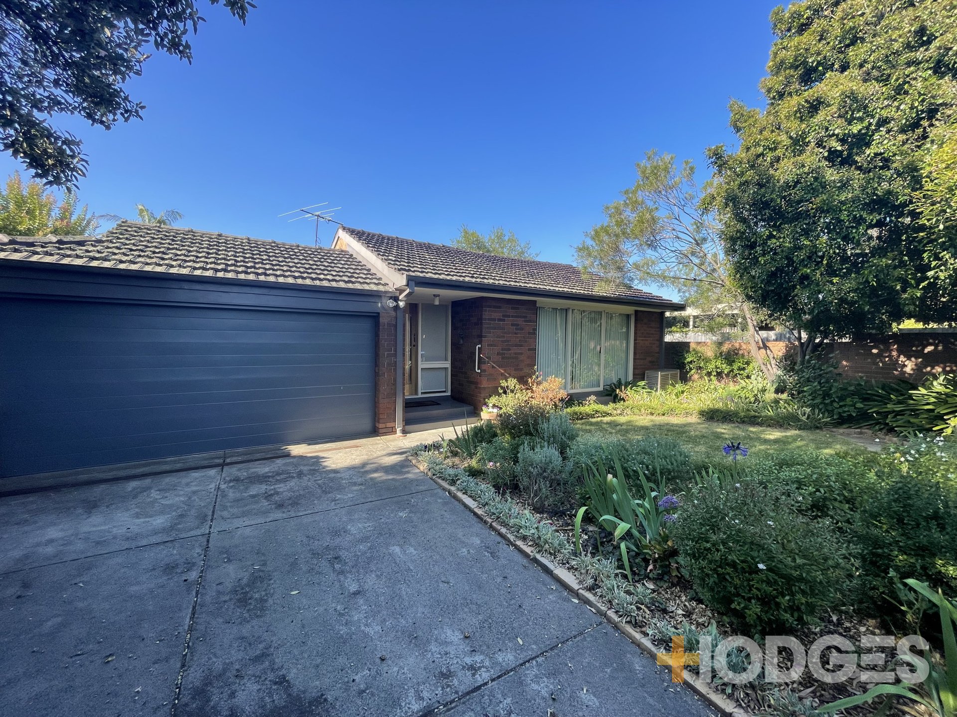 1 / 383 South Rd  Brighton East
