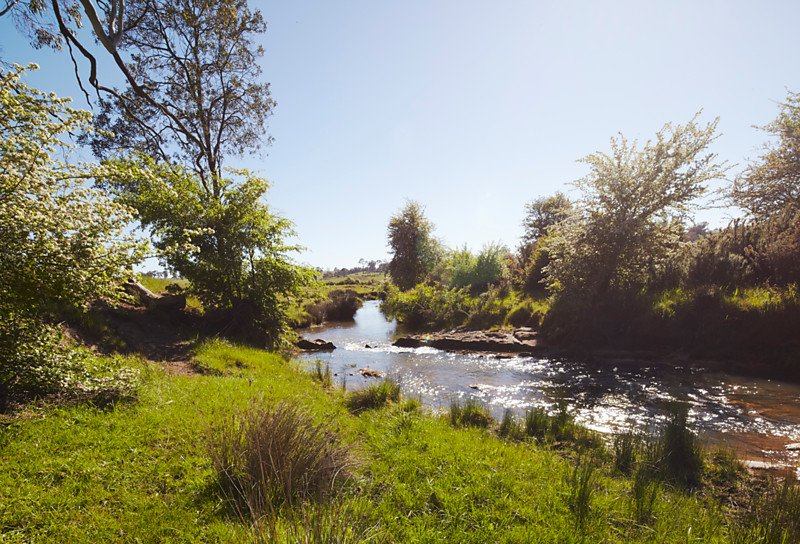 1394 Trentham Road, Kyneton image 9