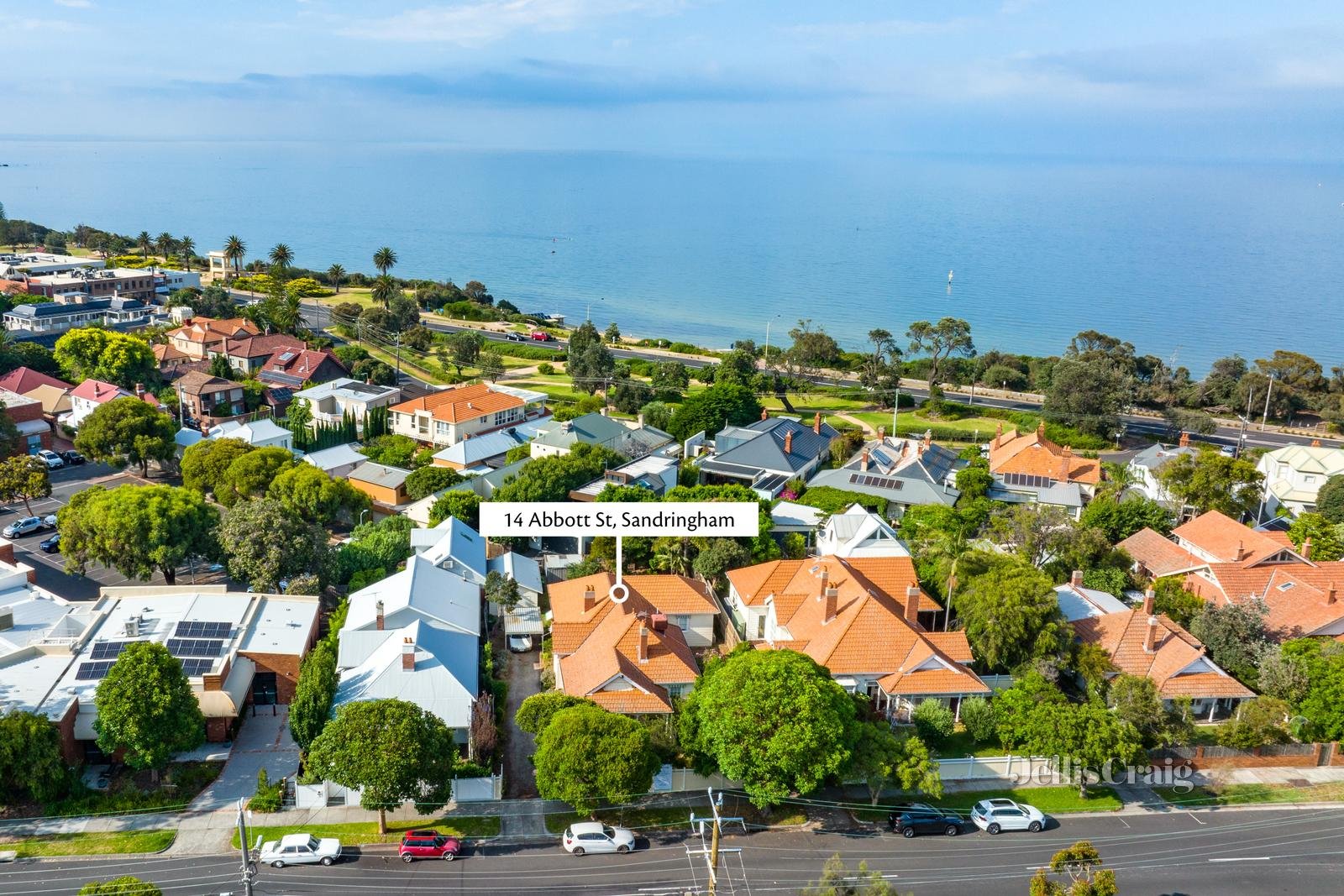 14 Abbott Street, Sandringham image 21