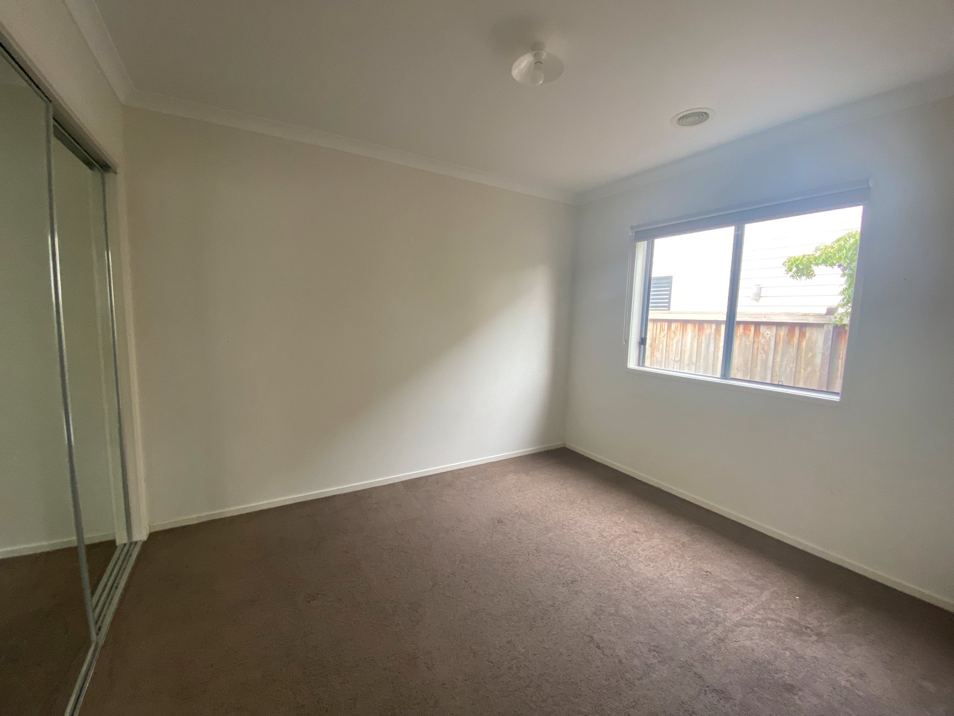 14 Accord Street, Mount&nbsp;Duneed image 8