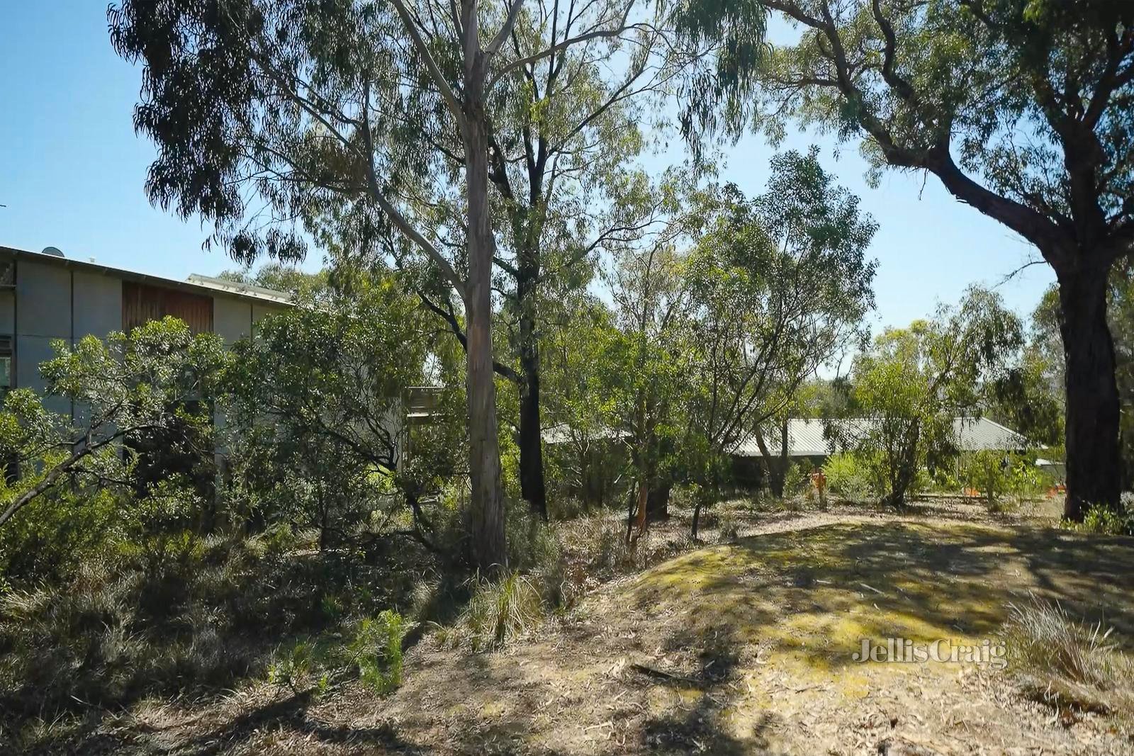 14 Clairville Street, Anglesea image 5