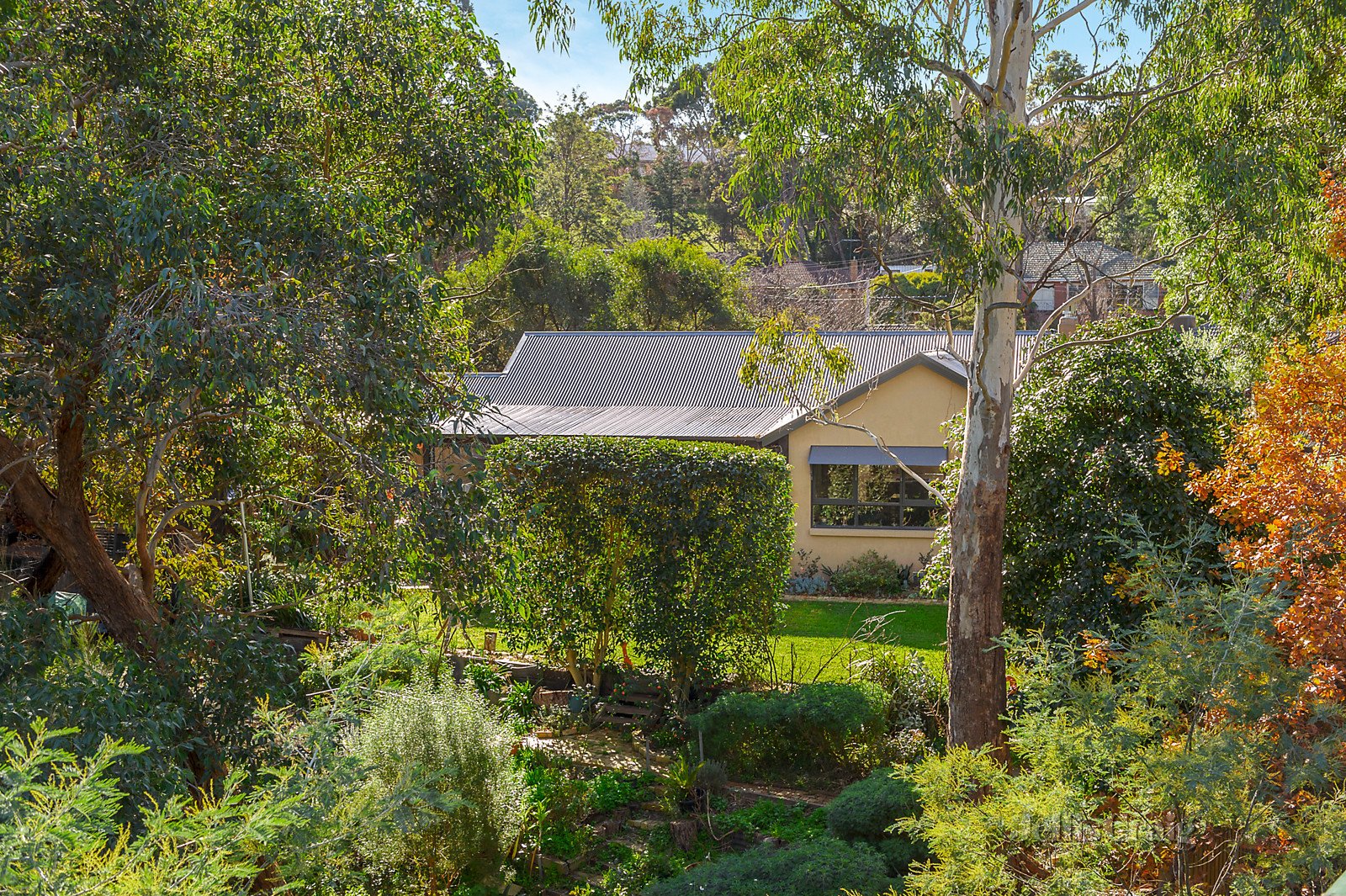 1/4 Currawong Lane, Greensborough image 1